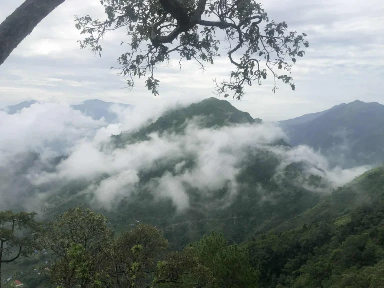 सोलिघोप्टे महारुद्र मन्दिर धार्मिक बन समुदायलाई हस्तान्तरण