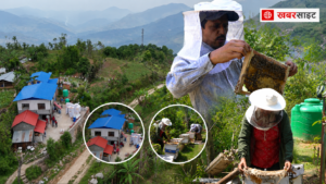 शिक्षण पेसा छाडेर मौरीपालनमा सिंखडा दम्पती: जागिर संस्कृतिलाई चुनौती दिँदै वार्षिक ५० लाखको कारोबार